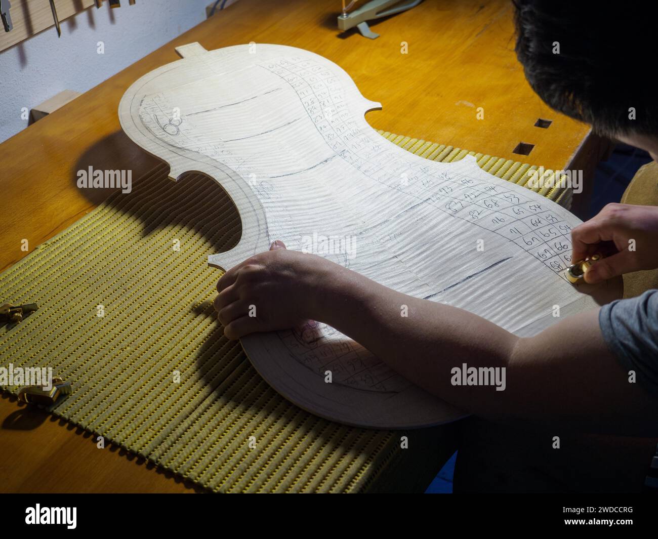 Fabricant d'instruments à cordes maître luthier main procéder au travail de graduation en cours violoncelle plaque arrière, divisant la pièce de bois dans les zones à Banque D'Images