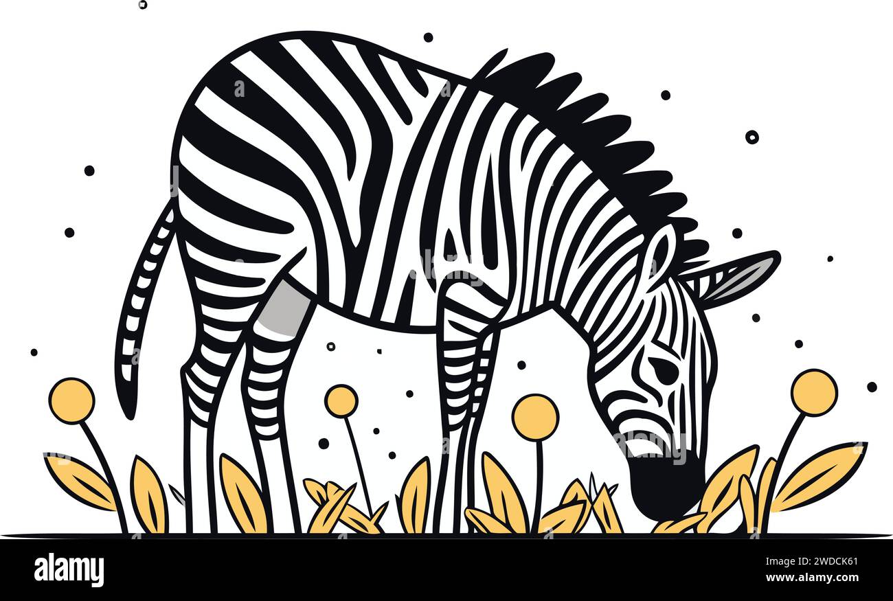 Zebra dans l'herbe. Illustration vectorielle d'un zèbre. Illustration de Vecteur