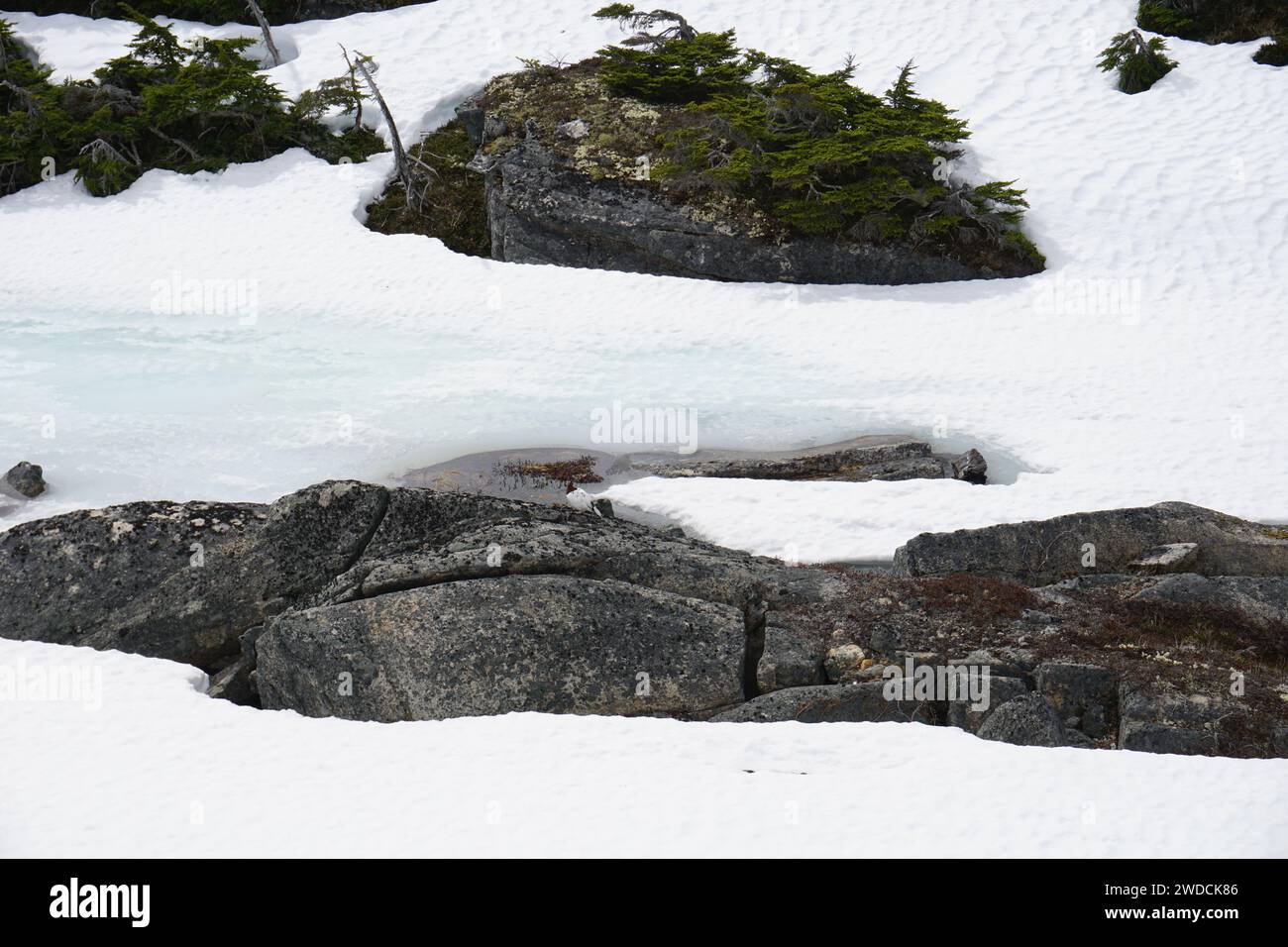 Montagnes de l'Alaska et du Yukon prises en mai 2017 Banque D'Images