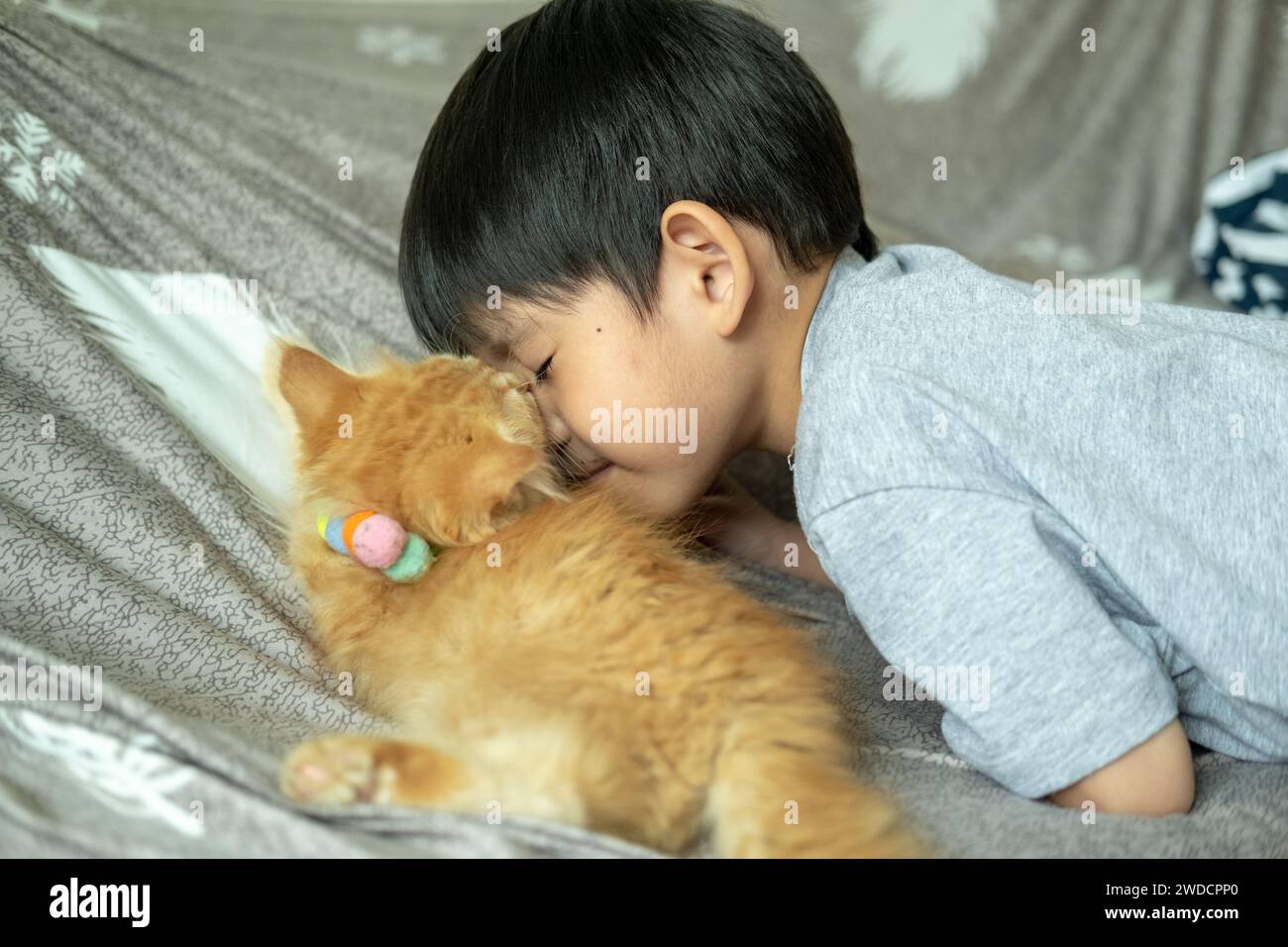 Un petit garçon asiatique embrasse un petit chaton orange. Banque D'Images