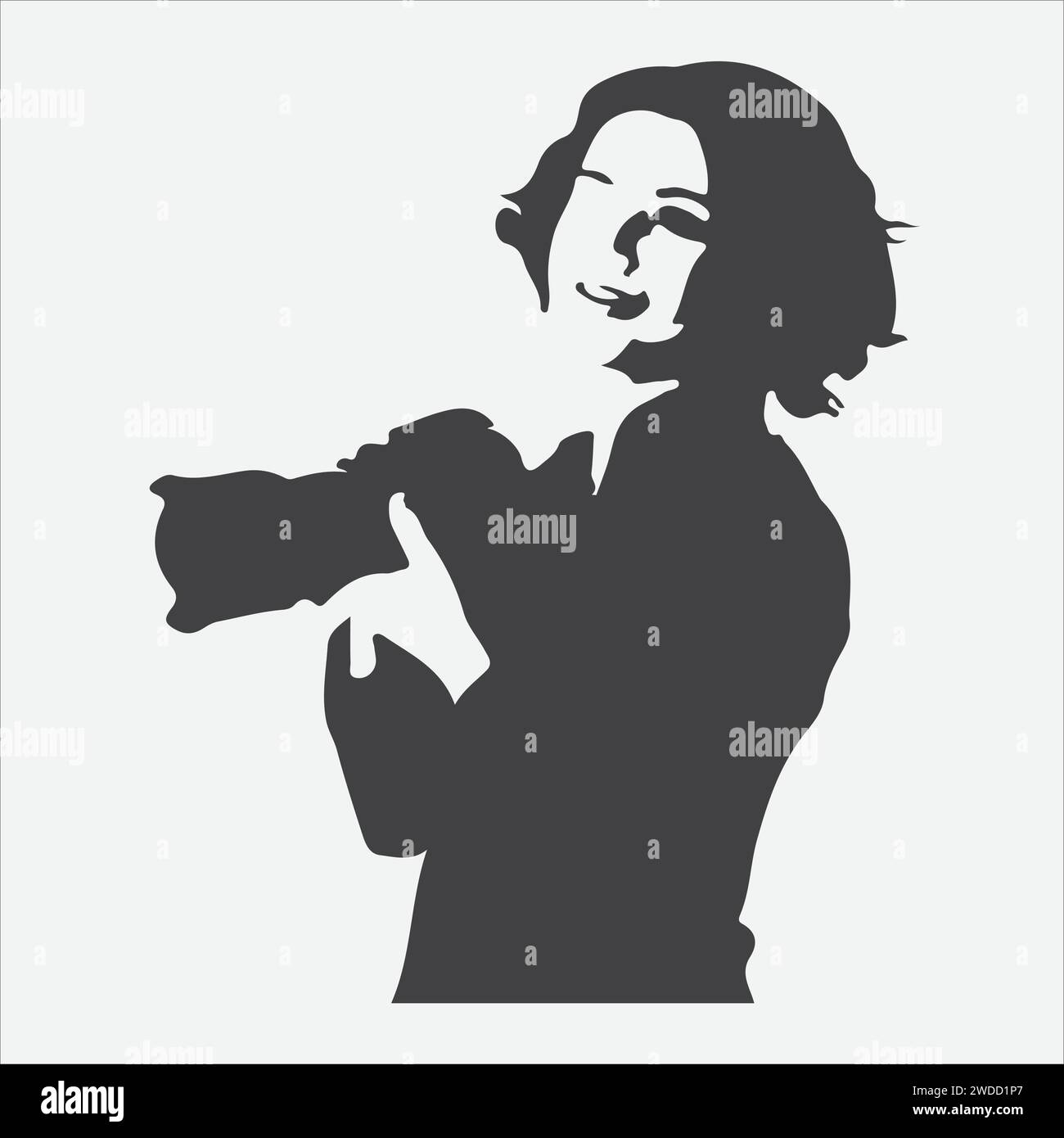 Capturer l'éclat, silhouettes de femmes avec les reflex numériques Illustration de Vecteur