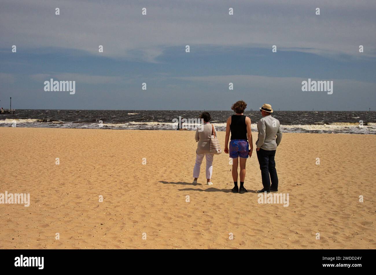 Vue arrière de la famille debout sur une plage de sable Banque D'Images