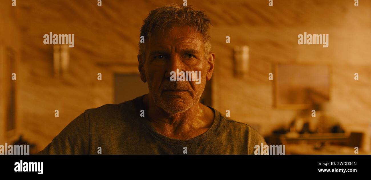 DATE DE SORTIE : 6 octobre 2017 TITRE : Blade Runner 2049 STUDIO : Columbia Pictures RÉALISATEUR : Denis Villeneuve PARCELLE : la découverte par un jeune Blade Runner d'un secret longtemps enterré le conduit à traquer l'ancien Blade Runner Rick Deckard, disparu depuis trente ans. AVEC : Harrison Ford, Ryan Gosling, Ana de Armas. (Image de crédit : © Columbia Pictures/Entertainment Pictures/ZUMAPRESS.com) USAGE ÉDITORIAL SEULEMENT! Non destiné à UN USAGE commercial ! Banque D'Images