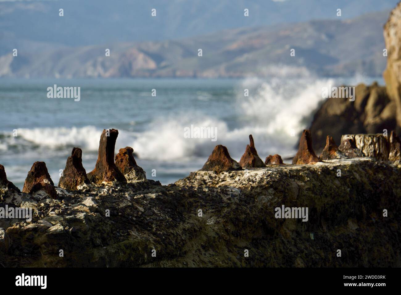 Sutro Baths ruines historiques à Lands se terminent au bord de l'océan Pacifique. Aire de loisirs Golden Gate. San Francisco, CALIFORNIE ÉTATS-UNIS Banque D'Images