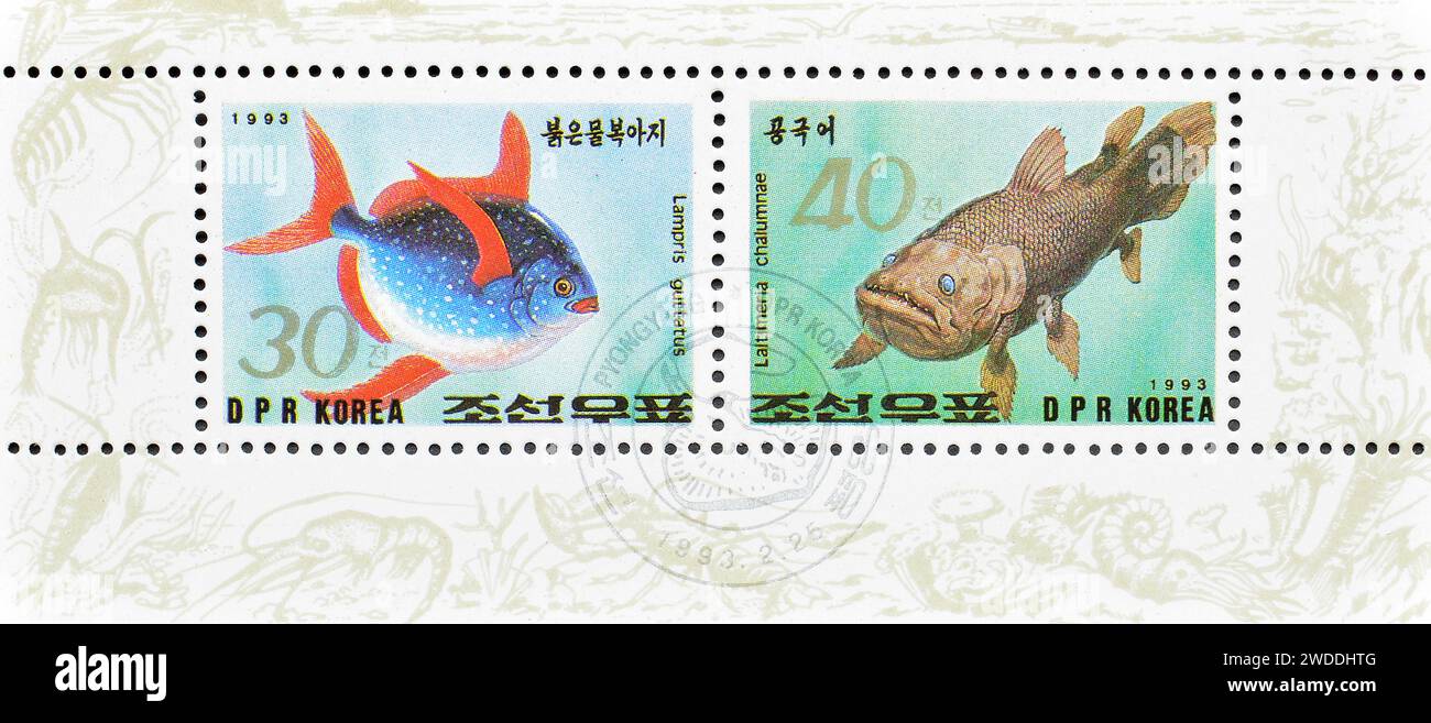 Bloc-feuillet avec timbres oblitérés imprimés par la Corée du Nord, qui montrent Lampris guttatus et Latimeria chalumnae, vers 1993. Banque D'Images