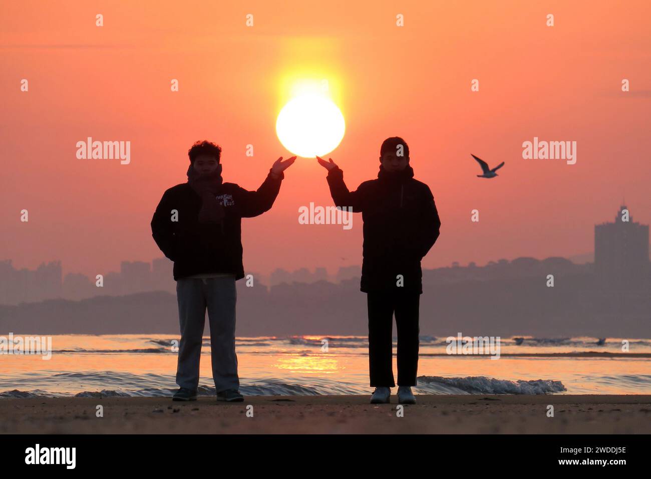 YANTAI, CHINE - 13 JANVIER 2024 - les mouettes et les touristes regardent le lever du soleil sur la mer à Yantai, dans la province du Shandong, en Chine, le 13 janvier 2024. Banque D'Images