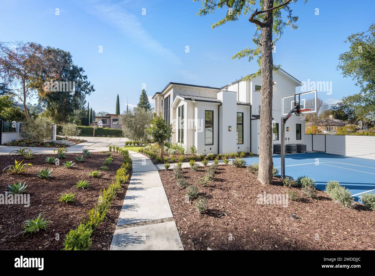 Terrain de basket extérieur entouré d'arbres dans une cour arrière, Tarzana, Californie Banque D'Images