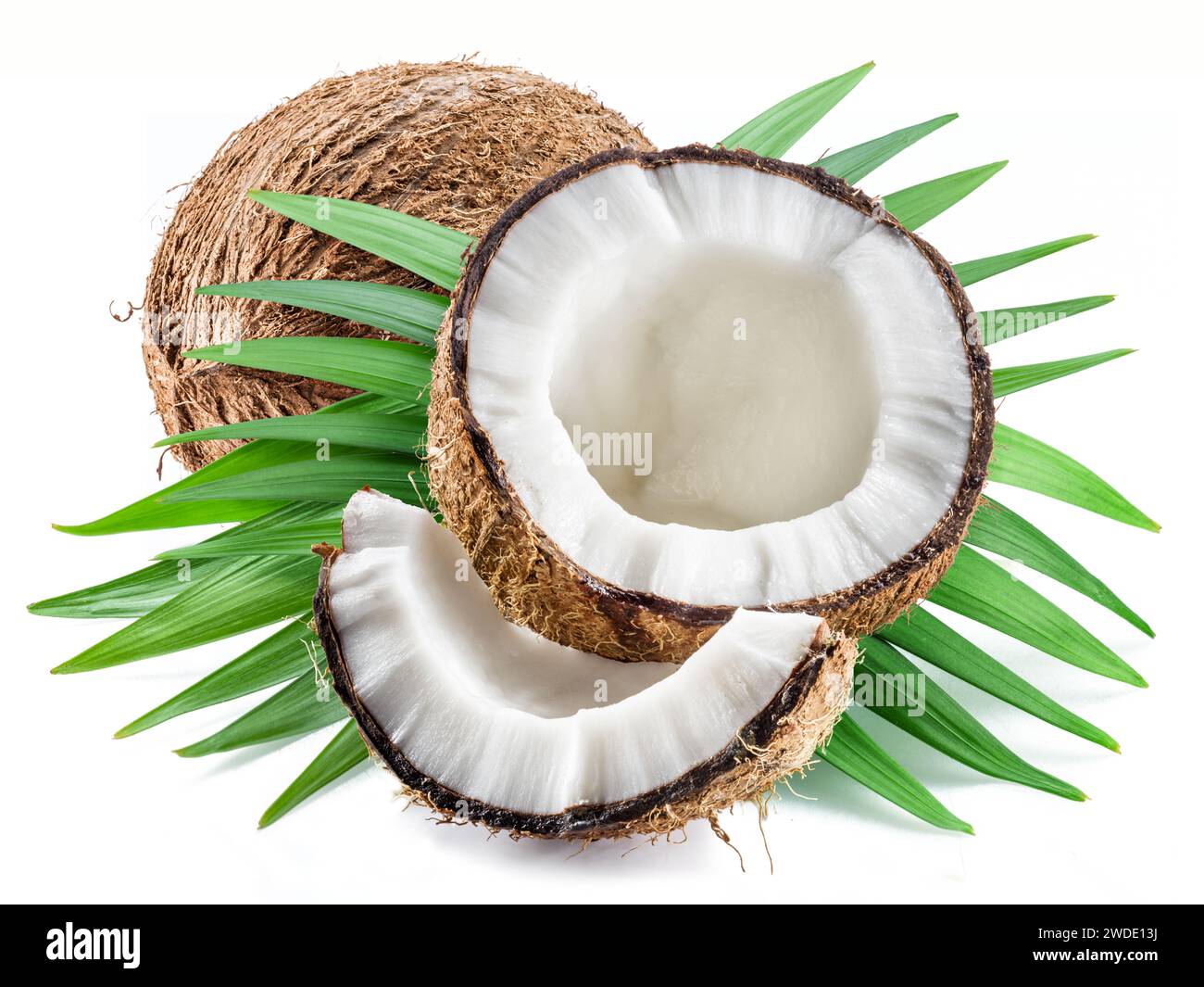 Fruit de noix de coco craquelé avec un morceau de noix de coco sur des feuilles vertes sur fond blanc. Banque D'Images