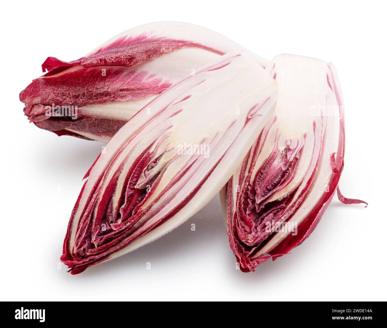 Endives rouges et coupe transversale d'endives sur fond blanc. Le fichier contient un chemin de détourage. Banque D'Images