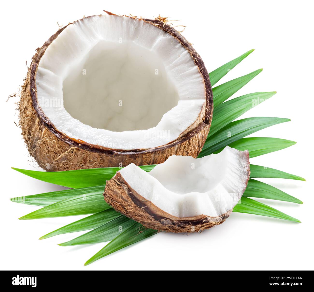 Noix de coco craquelée avec chair blanche à l'intérieur et feuilles vertes sur fond blanc. Banque D'Images