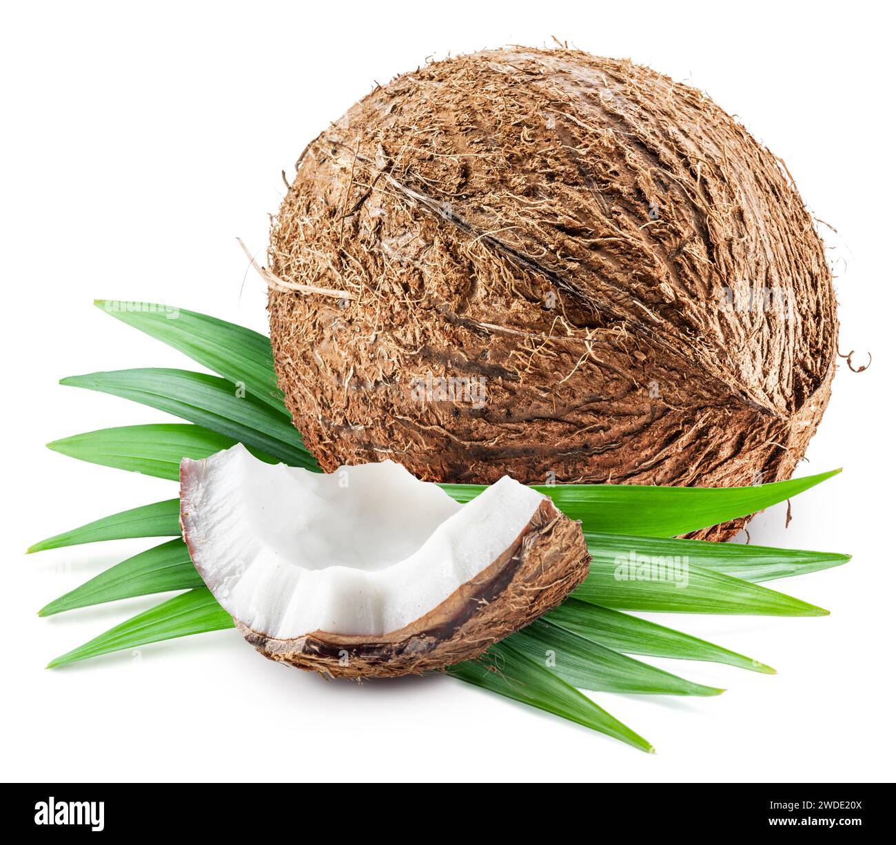 Fruit de noix de coco avec morceau de noix de coco sur fond blanc. Banque D'Images