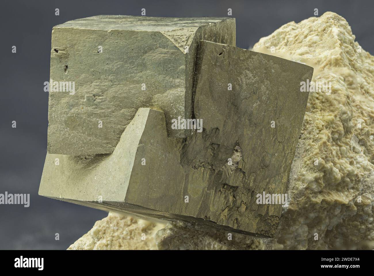 Cristaux de pyrite étincelants incorporés dans la matrice géologique Banque D'Images