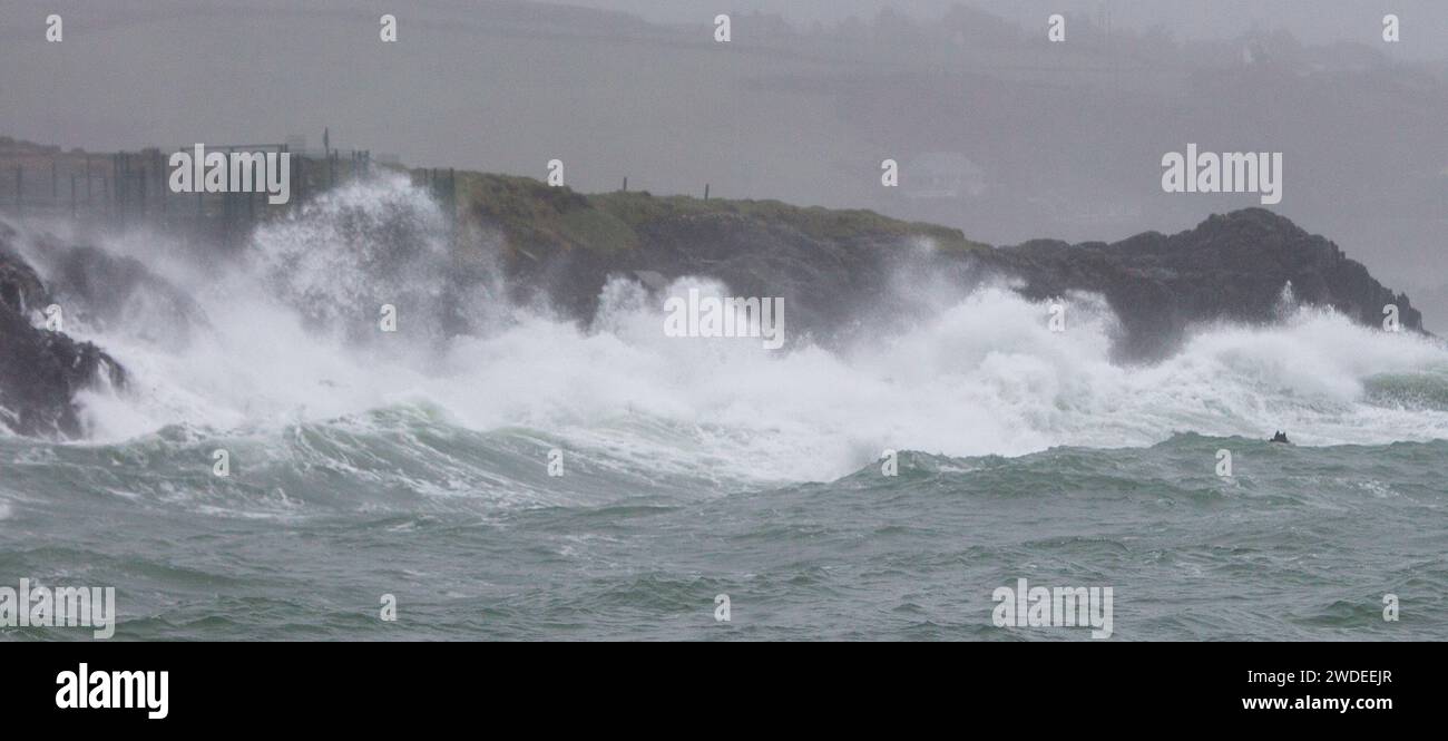 Owenahincha, West Cork, Irlande. Samedi 20 janvier 2024. Le bord d'attaque de la tempête Isha est arrivé sur la côte sud-ouest de l'Irlande aujourd'hui, poussant d'énormes vagues atlantiques devant elle et commençant à se briser sur la côte d'Owenahincha dans l'ouest de Cork. Le pays est sous un avertissement météorologique jaune avec des vents perturbateurs très élevés attendus plus tard aujourd'hui et demain jusqu'à probablement lundi. Crédit aphperspective/Alamy Live News Banque D'Images