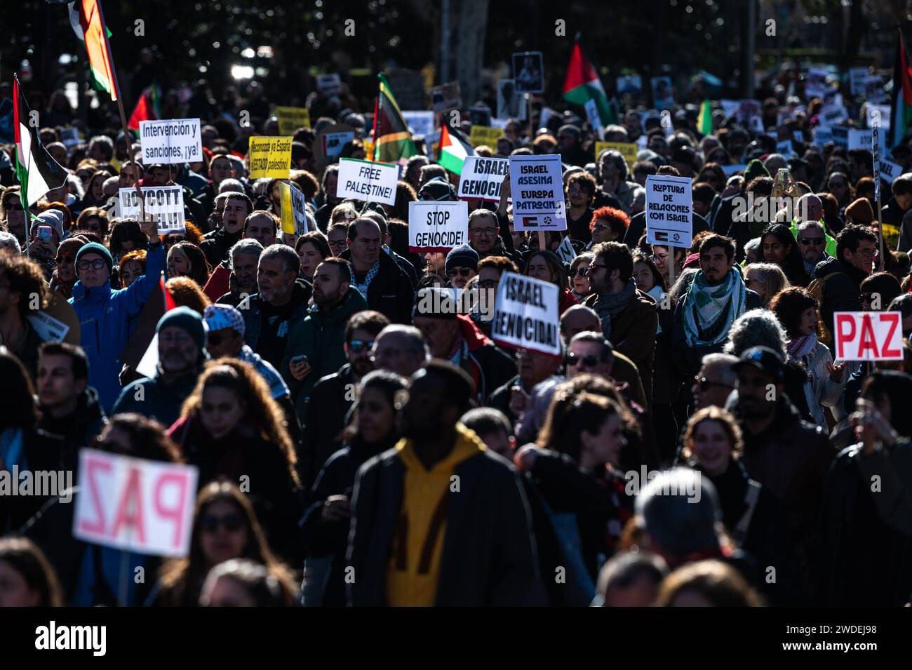 Madrid, Espagne. 20 janvier 2024. Personnes qui protestent lors d'une manifestation en faveur du peuple palestinien. Des milliers de personnes ont défilé dans le centre-ville pour exiger un cessez-le-feu à Gaza alors que les attaques israéliennes se poursuivent. Plus de 23 000 Palestiniens ont été tués dans la bande de Gaza depuis le 7 octobre 2023, à la suite des frappes aériennes et des attaques israéliennes pendant le conflit entre Israël et la Palestine. Crédit : Marcos del Mazo/Alamy Live News Banque D'Images
