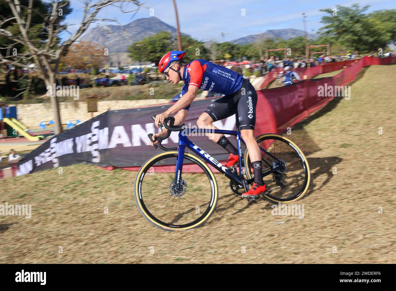 Benidorm, Espagne, 20 janvier 2024 le cycliste Baloise Trek Lions