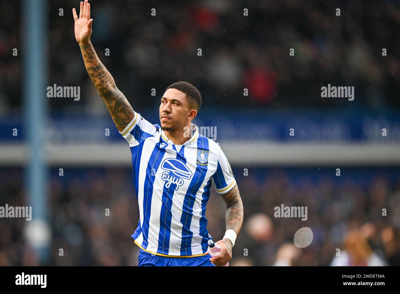 Ashley Fletcher de Sheffield Wednesday pendant le Sky Bet Championship Match Sheffield Wednesday vs Coventry City à Hillsborough, Sheffield, Royaume-Uni, le 20 janvier 2024 (photo de Craig Cresswell/News Images) Banque D'Images