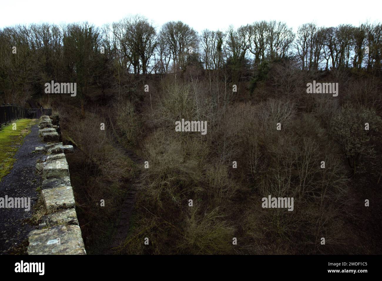 L'arche de Causey est un pont, Stanley, dans le comté de Durham, est le plus ancien pont ferroviaire à arche unique au monde Banque D'Images