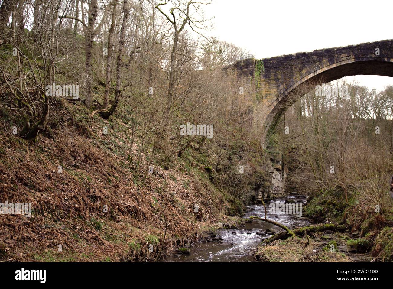 L'arche de Causey est un pont, Stanley, dans le comté de Durham, est le plus ancien pont ferroviaire à arche unique au monde Banque D'Images