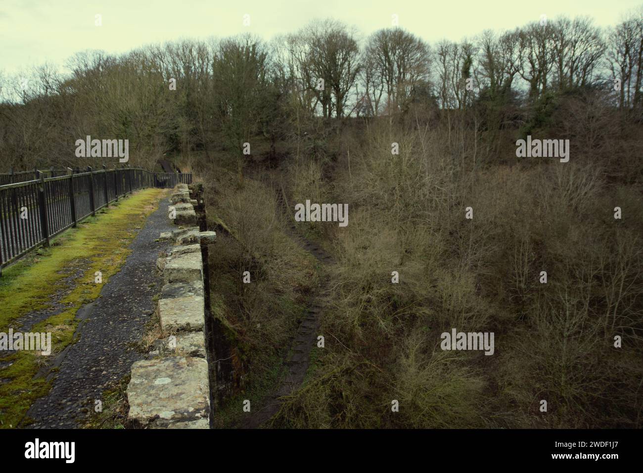 L'arche de Causey est un pont, Stanley, dans le comté de Durham, est le plus ancien pont ferroviaire à arche unique au monde Banque D'Images