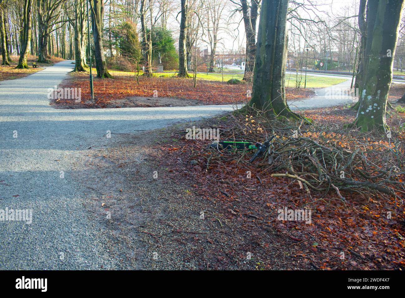 Scooter électrique abandonné dans le Parc Banque D'Images