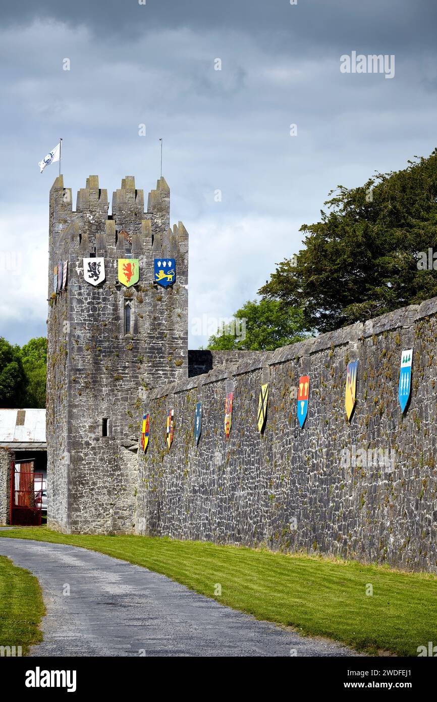 Murs fortifiés autour de la ville de Fethard, comté de Tipperary, Irlande. Banque D'Images