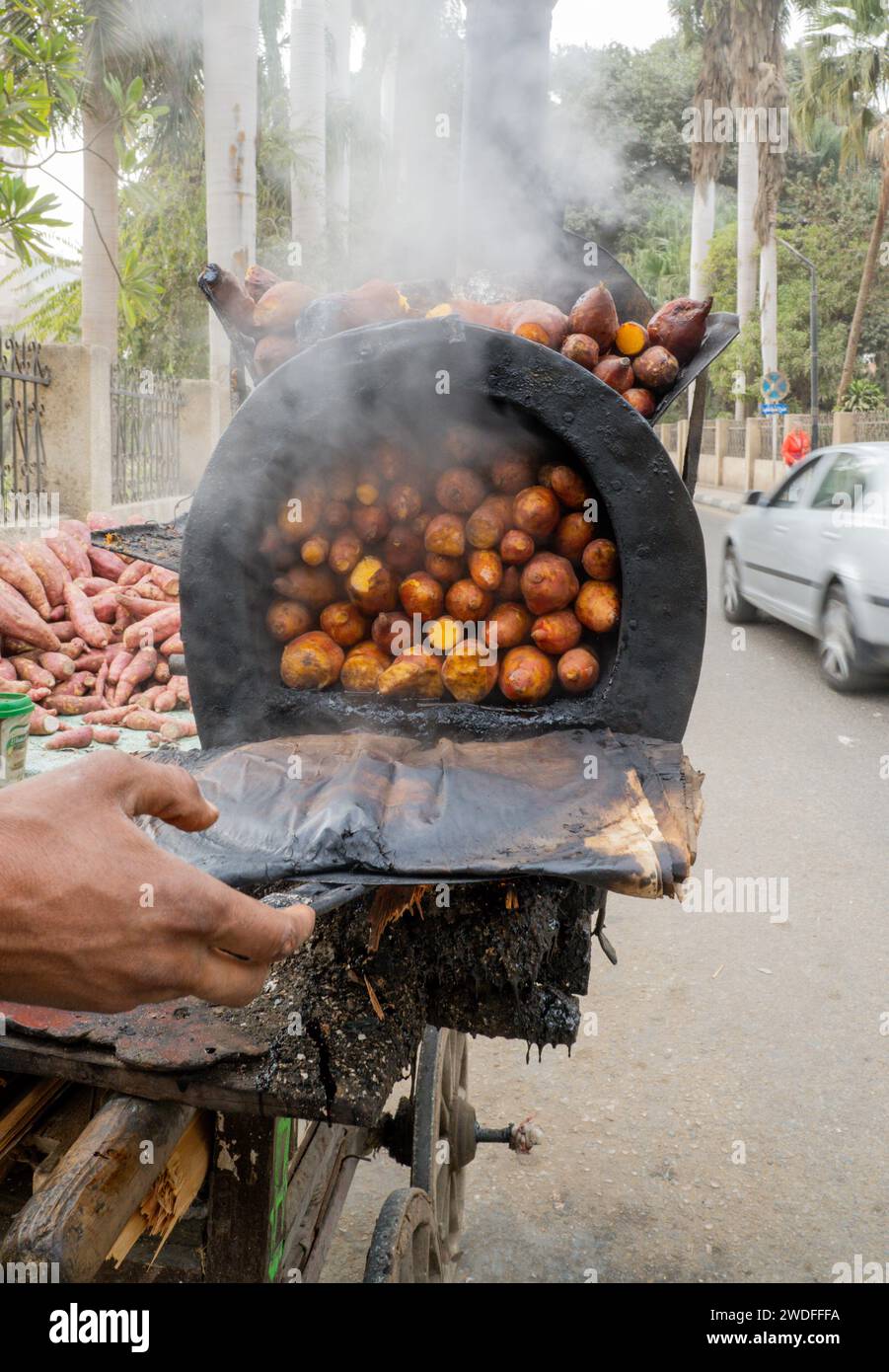 street food au Caire Egypte : ignames rôties chaudes Banque D'Images