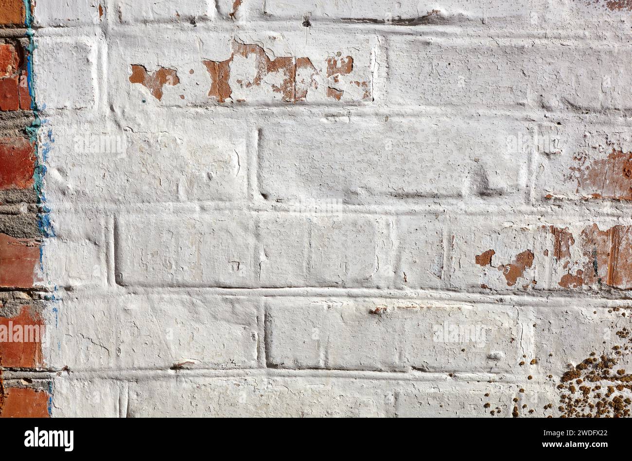 Arrière-plan mural blanc rouge. Vieux mur de briques grundy texture. Mur vintage avec plâtre obsolète Banque D'Images
