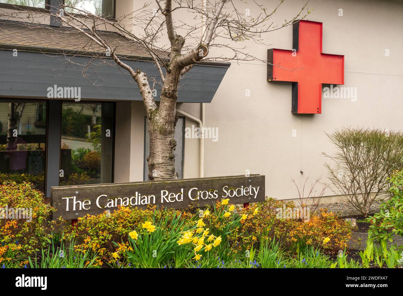 L'enseigne de la Croix-Rouge canadienne au centre-ville de Victoria, île de Vancouver, Colombie-Britannique, Canada. Banque D'Images