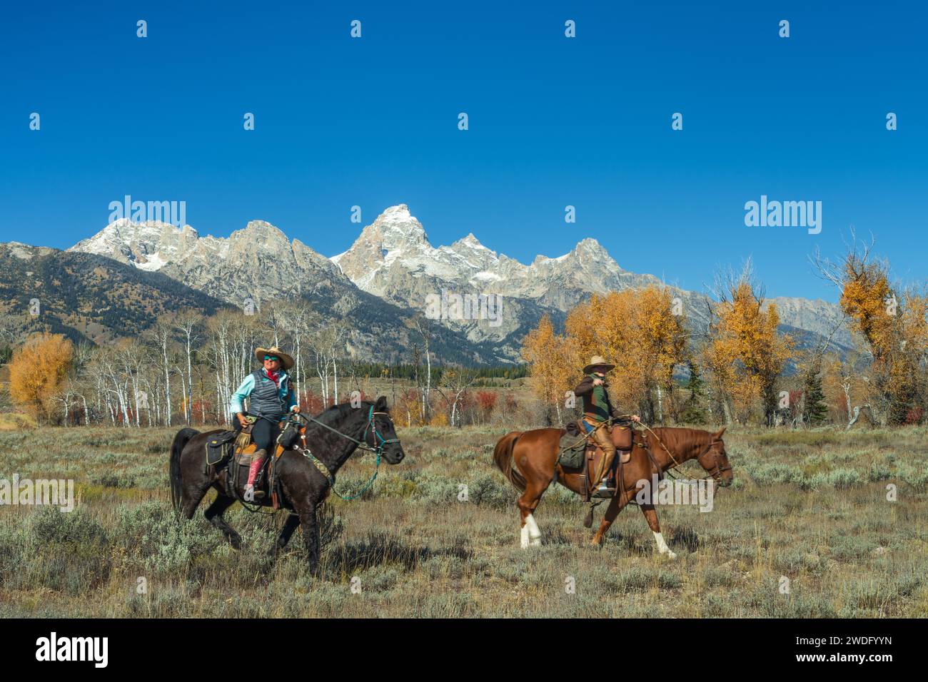 Cowgirls et leurs chevaux avec en toile de fond les Grands Tetons dans le parc national de Grand Tetons, Wyoming, États-Unis. Banque D'Images