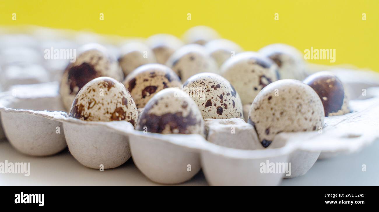 Œufs de caille tachetée dans une boîte à œufs sur fond jaune, produits écologiques naturels. Banque D'Images