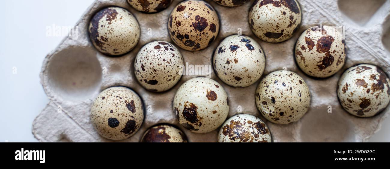Œufs de caille tachetée dans une boîte à œufs sur fond clair, produits naturels écologiques. Banque D'Images