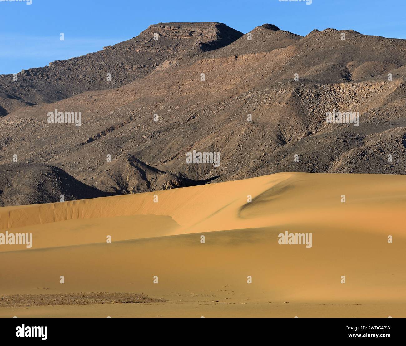 ALGÉRIE AVEC DES DUNES DE SABLE DANS LE DÉSERT DU SAHARA AUTOUR DE L'OASIS DE DJANET Banque D'Images