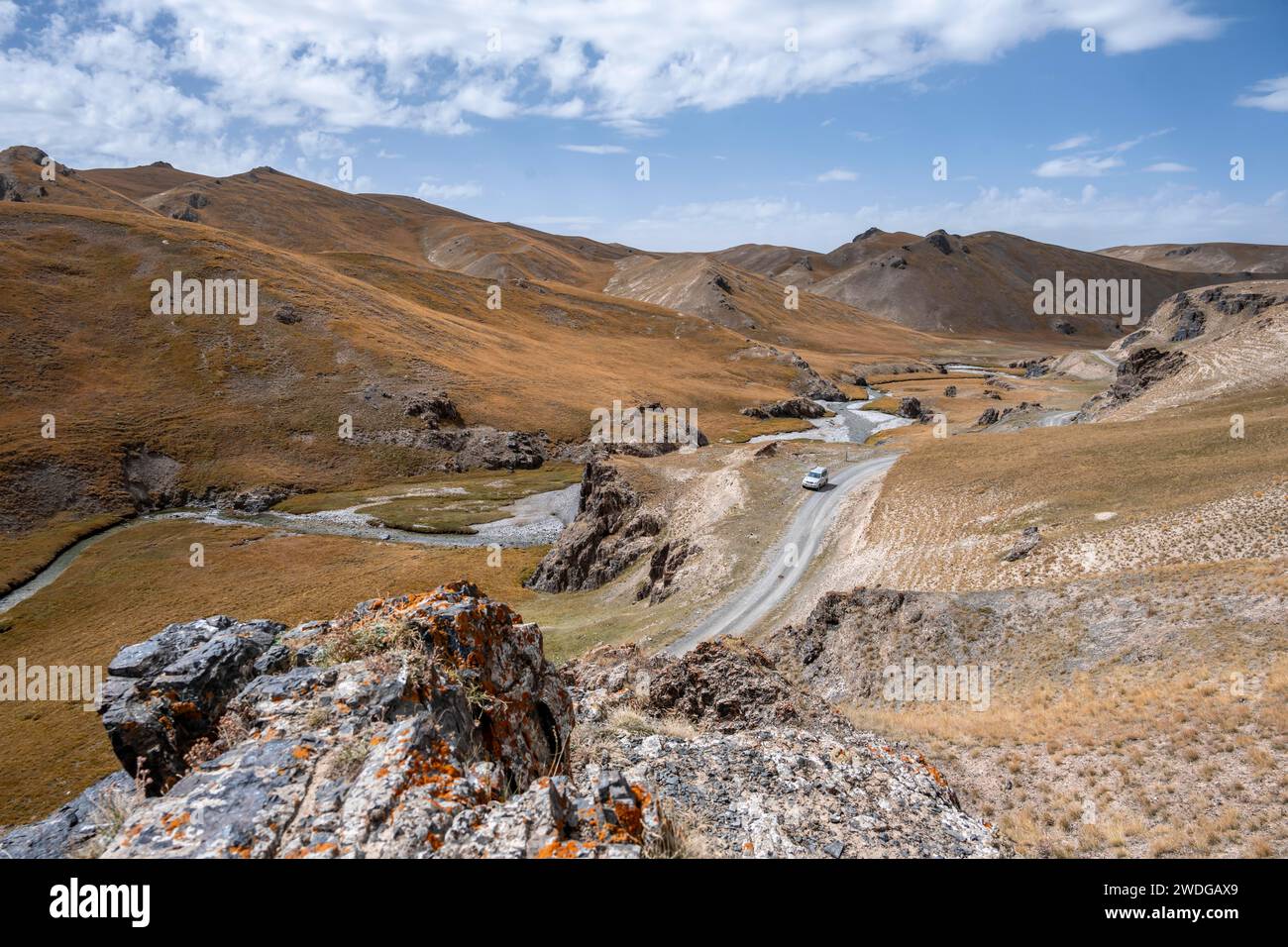 Véhicule hors route sur une route, piste entre des collines avec de l'herbe jaune, la rivière Kol Suu serpente à travers une vallée de montagne, province de Naryn, Kirghizistan Banque D'Images