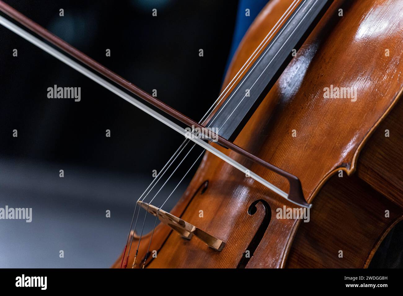 Gros plan des cordes et de l'arc d'un violoncelle Banque D'Images