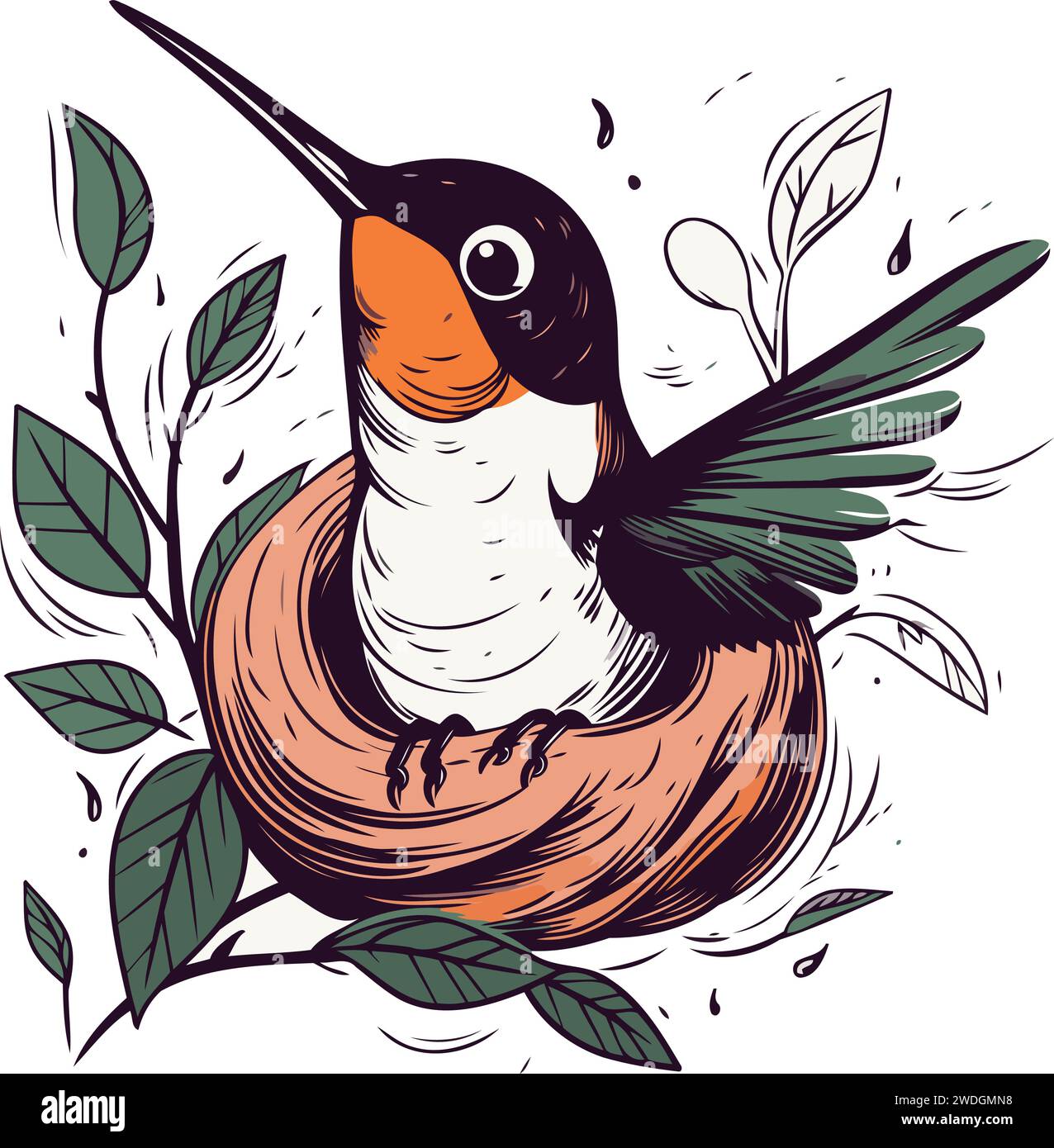 Colibri assis dans le nid. Illustration vectorielle dessinée à la main. Illustration de Vecteur