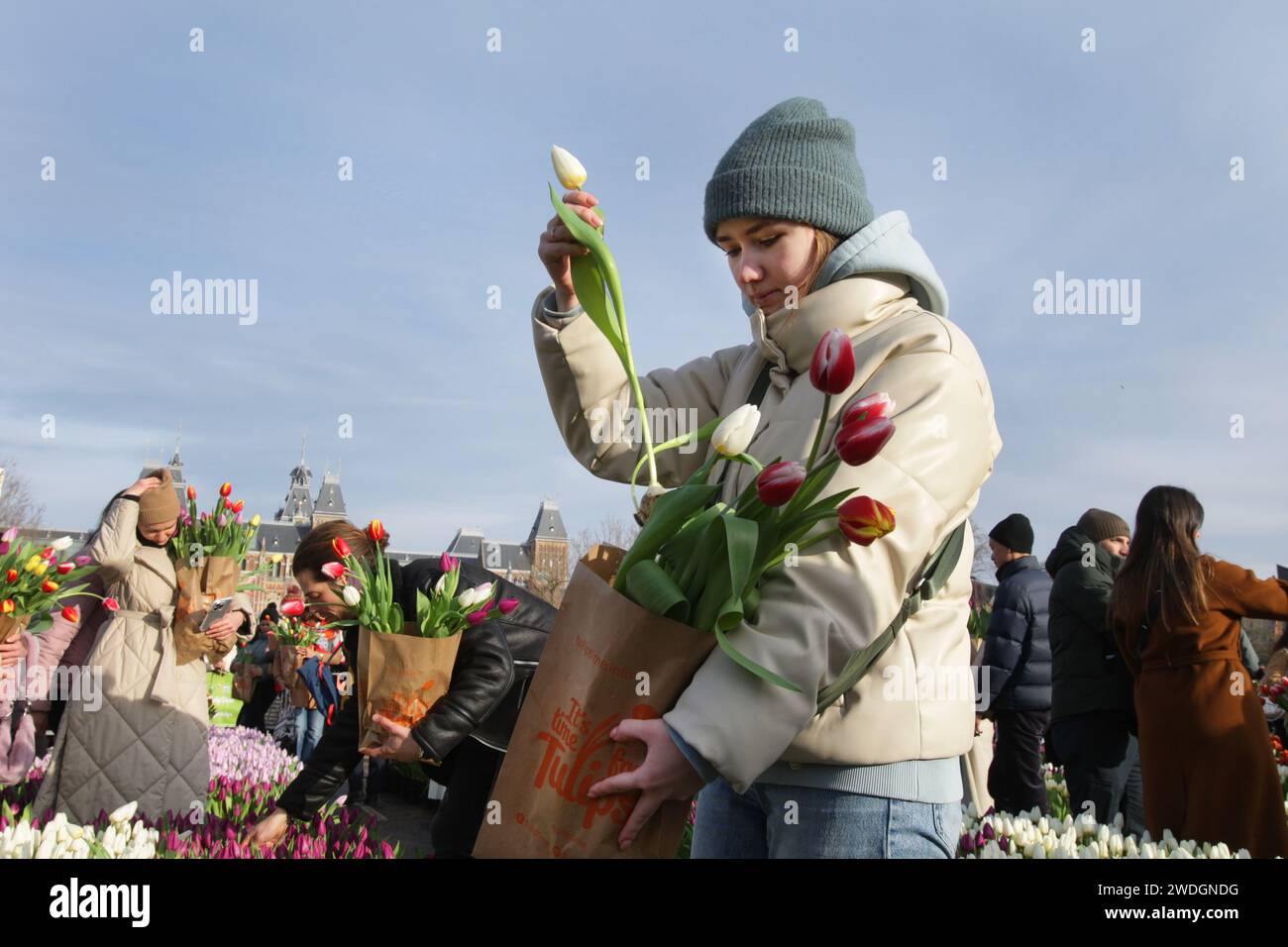 Des milliers de personnes ont ramassé des tulipes gratuites lors de la Journée nationale des tulipes sur la place du Musée près du Rijskmuseum le 20 janvier 2024 à Amsterdam, pays-Bas Banque D'Images