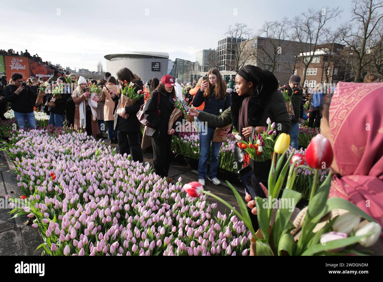 Des milliers de personnes ont ramassé des tulipes gratuites lors de la Journée nationale des tulipes sur la place du Musée près du Musée Van Gogh le 20 janvier 2024 à Amsterdam, Neth Banque D'Images