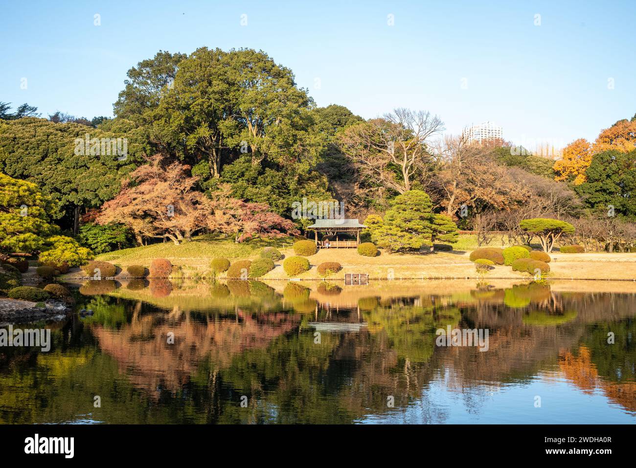 Scènes dans Gyoen Park Shinjuku, Tokyo, Japon Banque D'Images