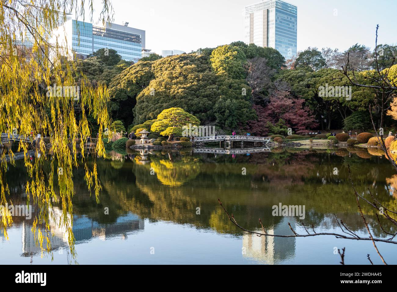Scènes dans Gyeon Park Shinjuku, Tokyo, Japon Banque D'Images