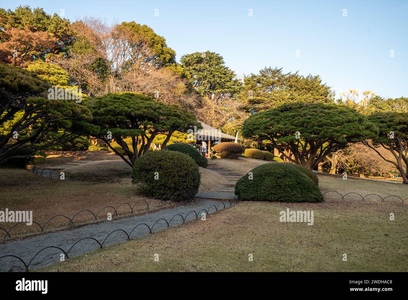 Scènes dans Gyeon Park Shinjuku, Tokyo, Japon Banque D'Images