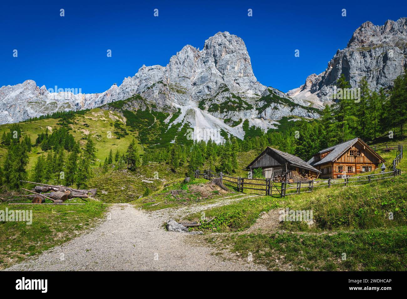 Grande randonnée et emplacement de voyage, maison rurale en bois dans la forêt de pins verts. Étonnantes montagnes de Dachstein en arrière-plan, Ramsau am Dachstein, Styrie, Banque D'Images
