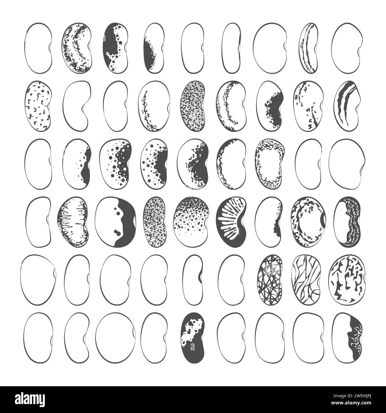 Jeu d'illustrations noir et blanc avec haricots verts, haricots rouges. Objets vectoriels isolés sur fond blanc. Illustration de Vecteur
