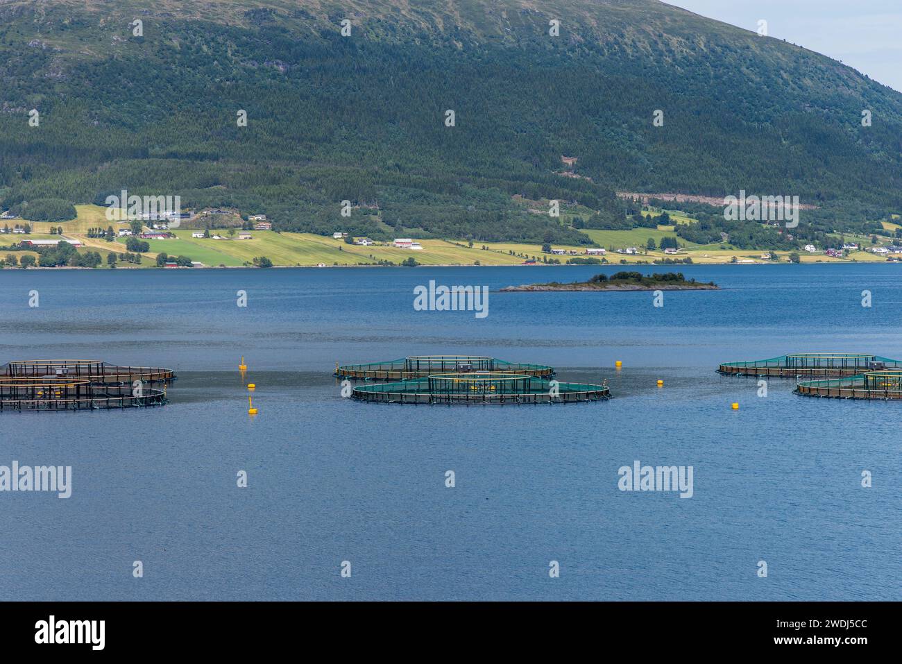La pêche du saumon d'élevage en Norvège. La Norvège est le plus gros producteur de saumon d'élevage dans le monde, avec plus d'un million de tonnes produites chaque année. Banque D'Images