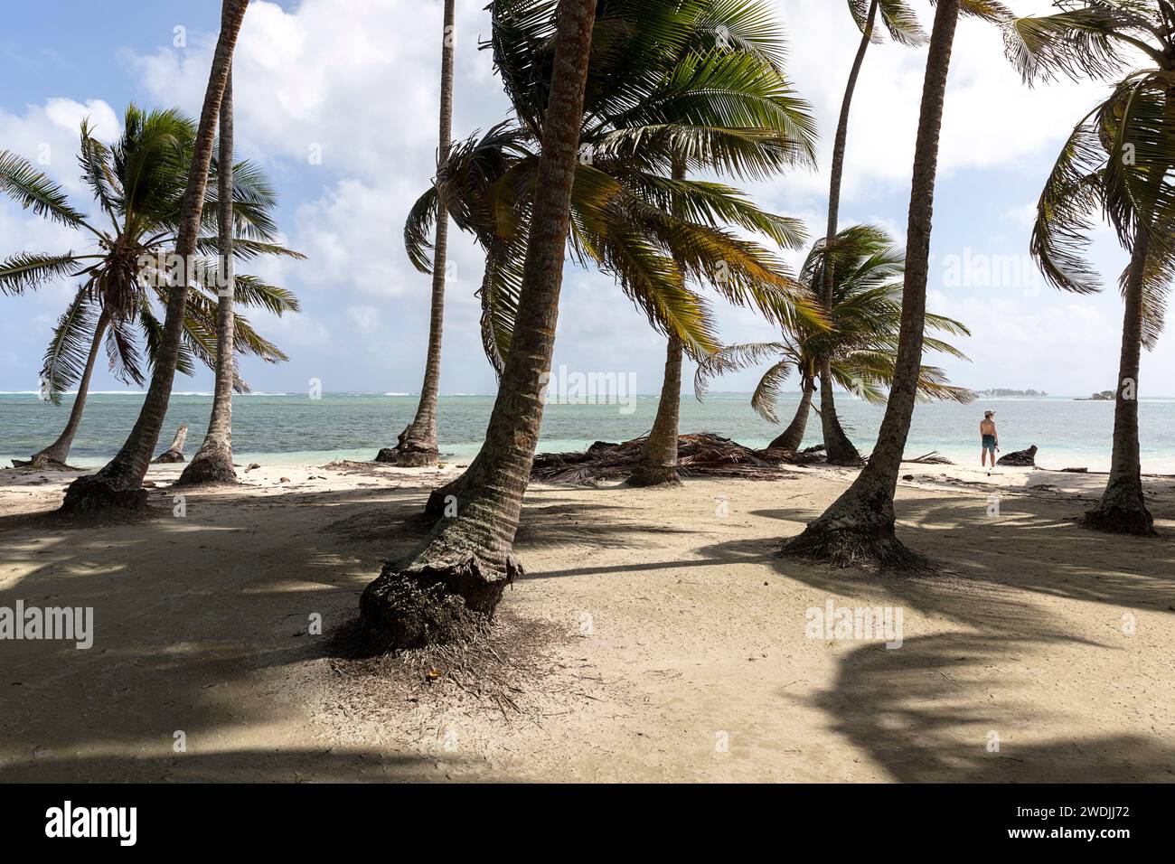 Touriste enfant en vacances, debout sur une plage entre les palmiers sur une île tropicale isolée de l'archipel de San Blas, Panama Banque D'Images