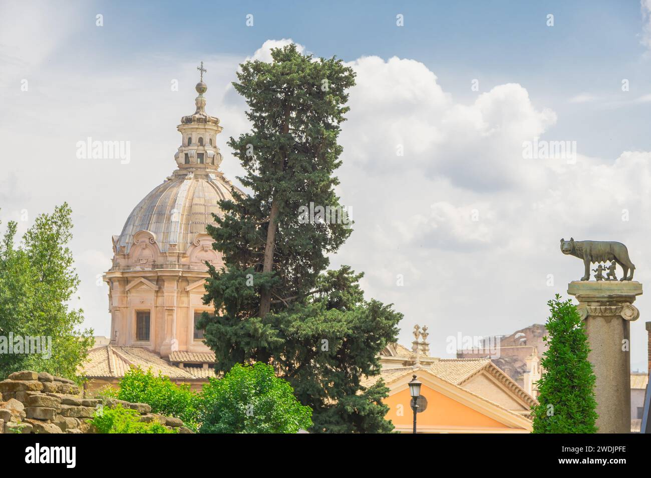 Vue sur le forum romain et le loup de Rome, Italie. Banque D'Images