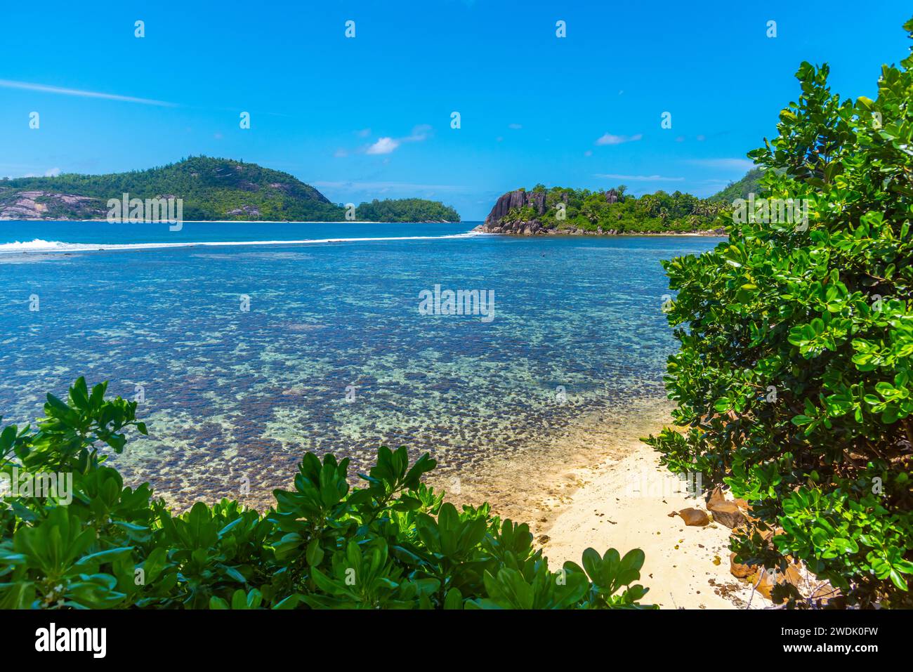 Récif corallien à Anse l'islette. Île de Mahé, Seychelles Banque D'Images