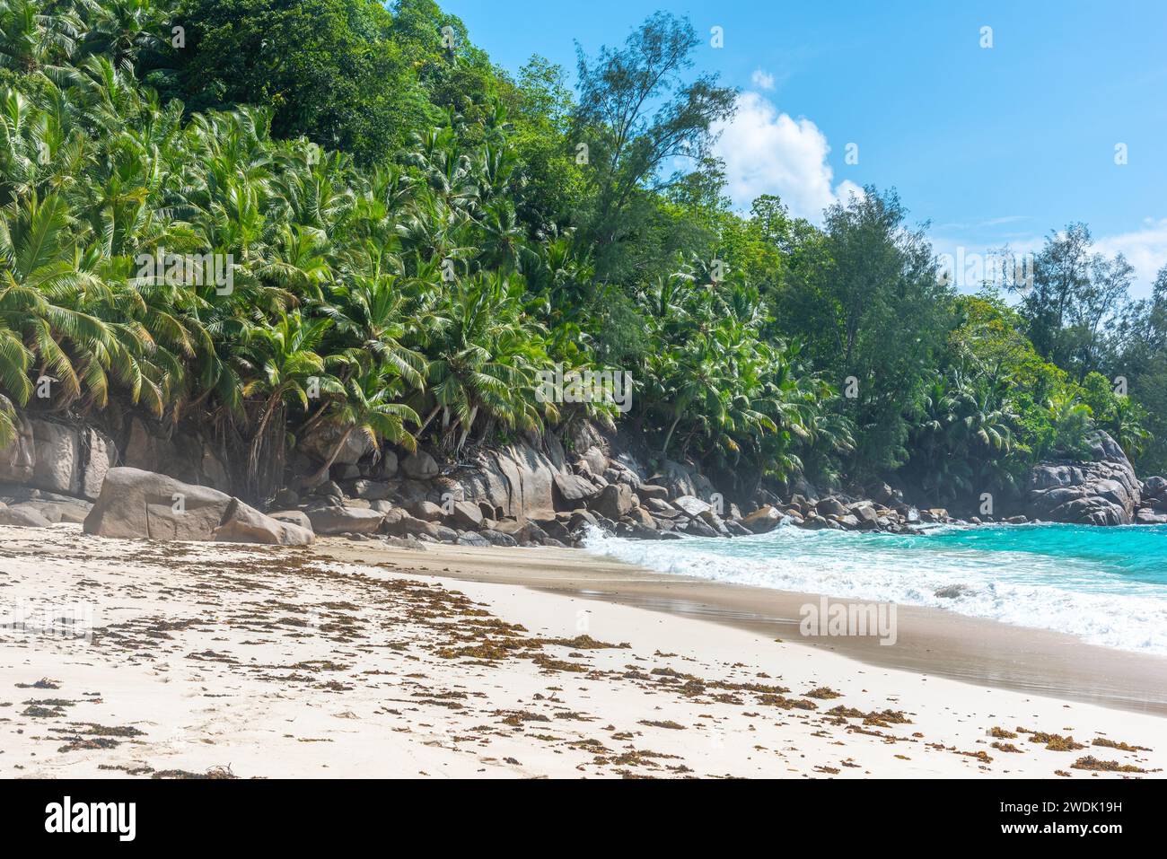 Anse Intendance rivage par une journée ensoleillée. Île de Mahé, Seychelles Banque D'Images