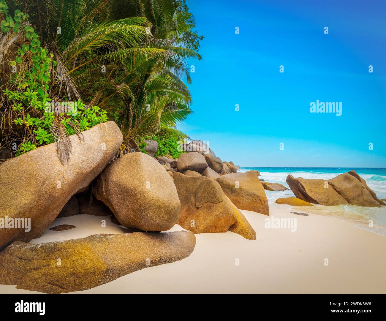 Rochers et palmiers à Anse Georgette. Île de Praslin, Seychelles Banque D'Images