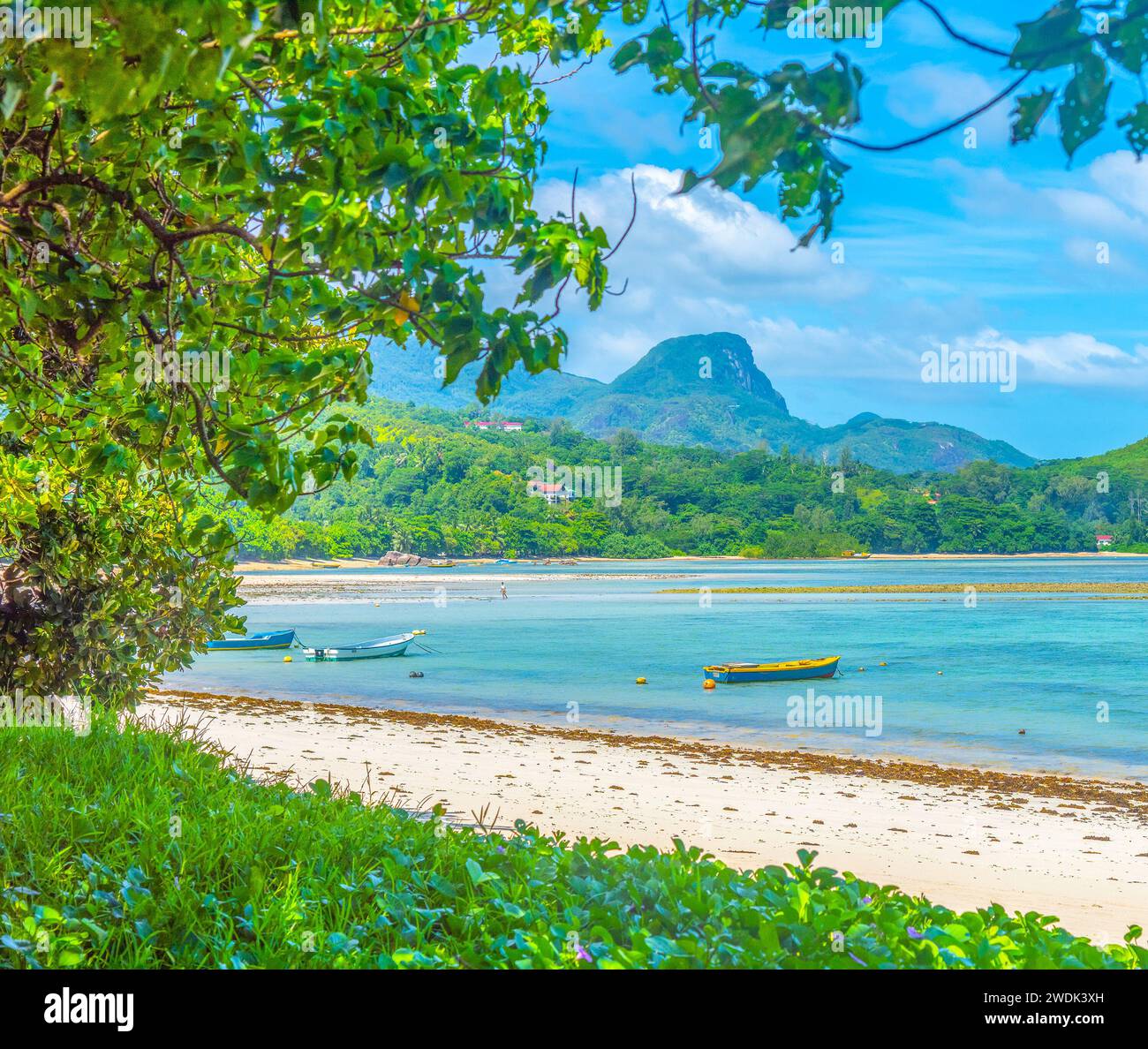 Petits bateaux sur la plage d'Anse a la mouche. Île de Mahé, Seychelles Banque D'Images