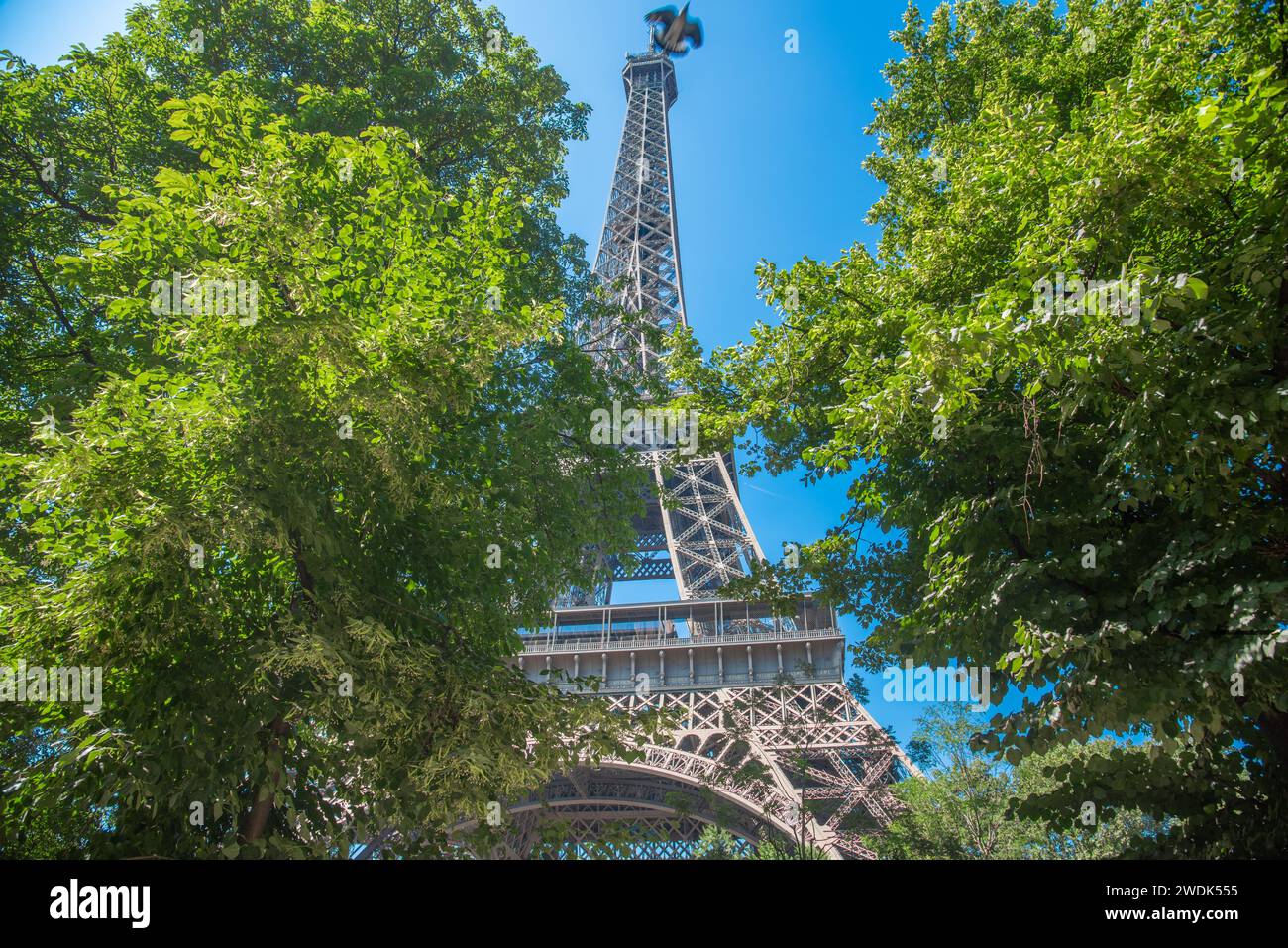 Tour Eiffel mondialement célèbre vue à travers des arbres verts. Paris, France Banque D'Images